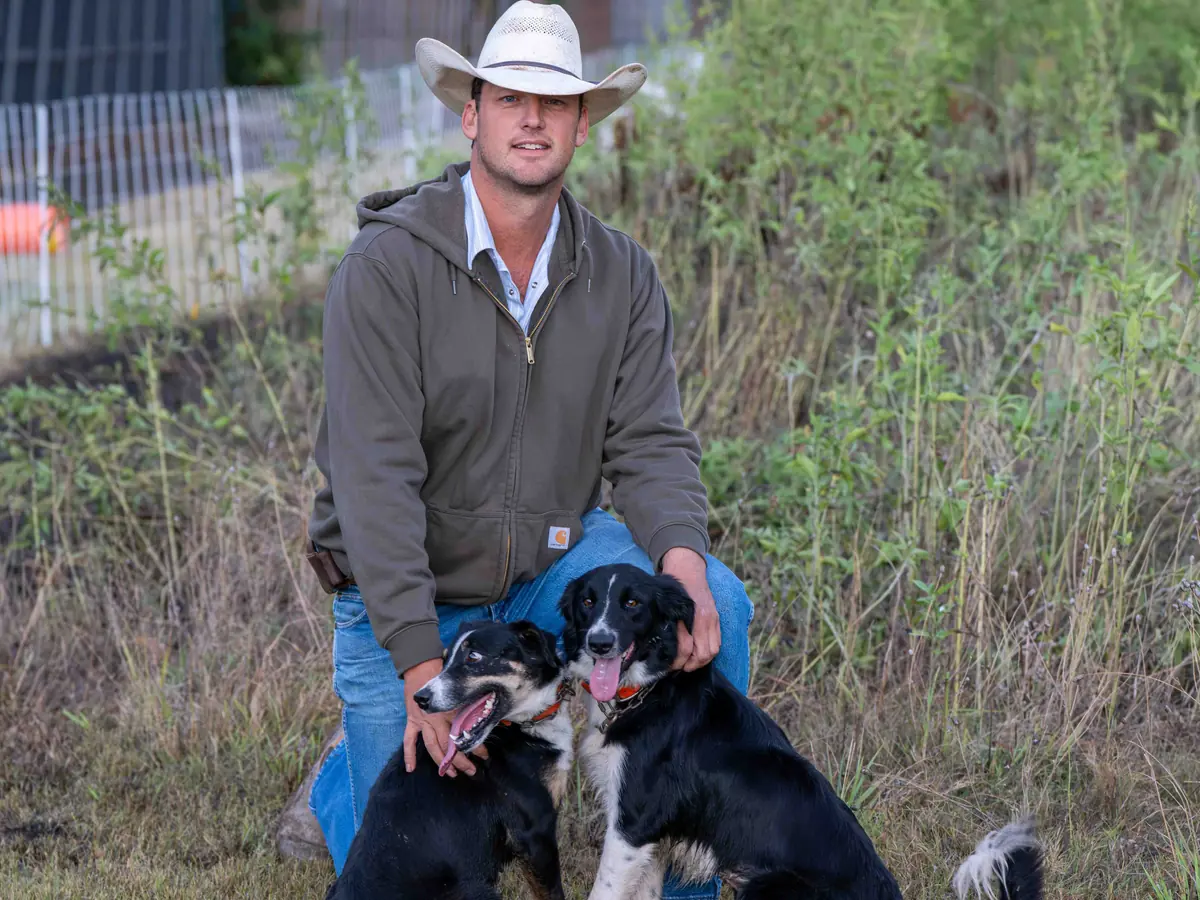 A herder in a cowboy hat kneeling in tall grass with two black-and-white herding dogs